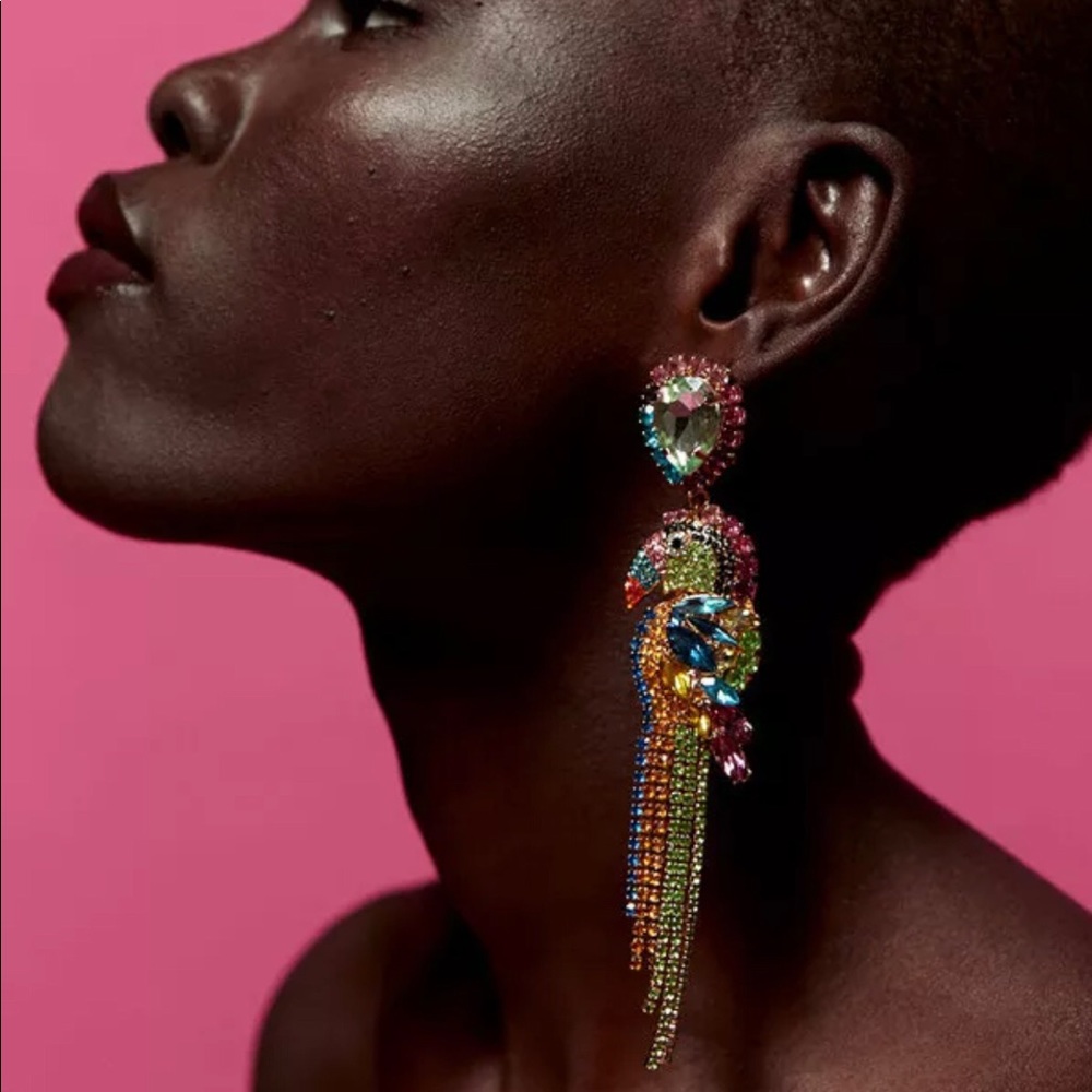 Paradise Parrot 🦜 Earrings Betsey Johnson, Zara, Statement Earrings, Designer